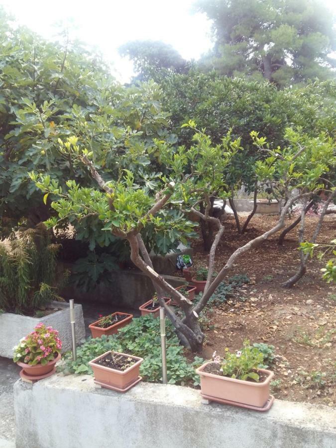 Apartmán Manda Ljubetic Sutivan Exteriér fotografie