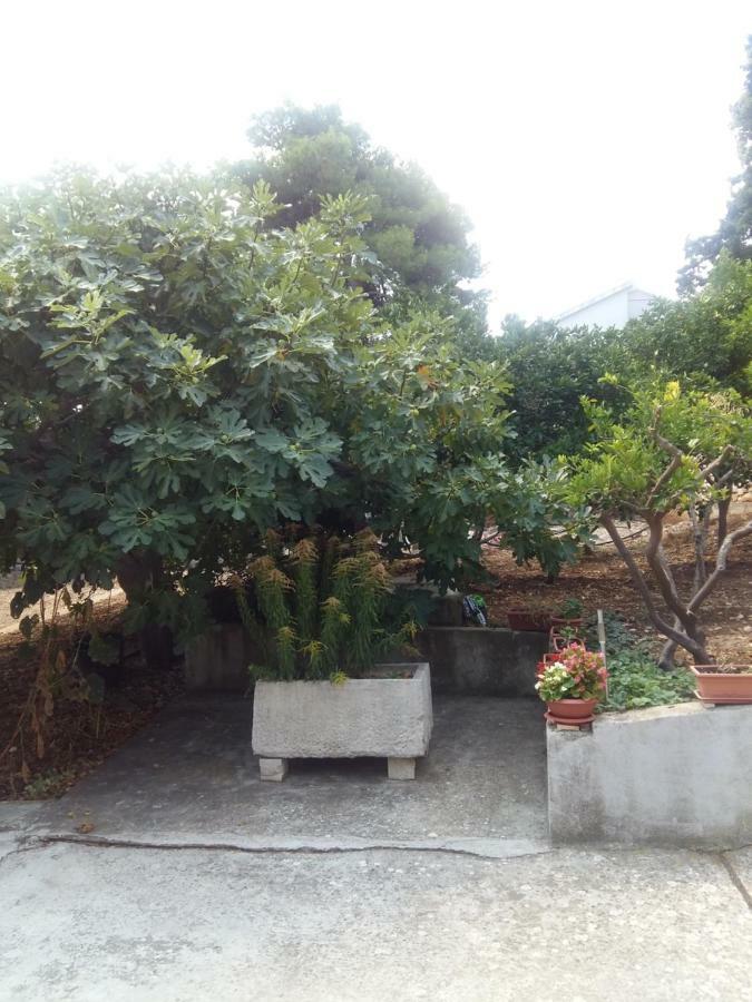 Apartmán Manda Ljubetic Sutivan Exteriér fotografie