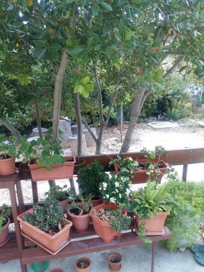 Apartmán Manda Ljubetic Sutivan Exteriér fotografie
